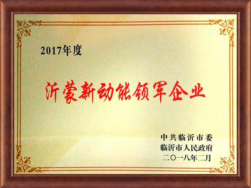 沂蒙新動能領軍企業(yè)