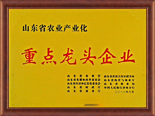 重點龍頭企業(yè)
